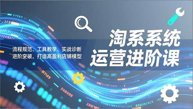 淘系系统运营进阶课2.0，流程规范、工具教学、实战诊断，进阶突破，打造高盈利店铺模型-禾谷轻创网