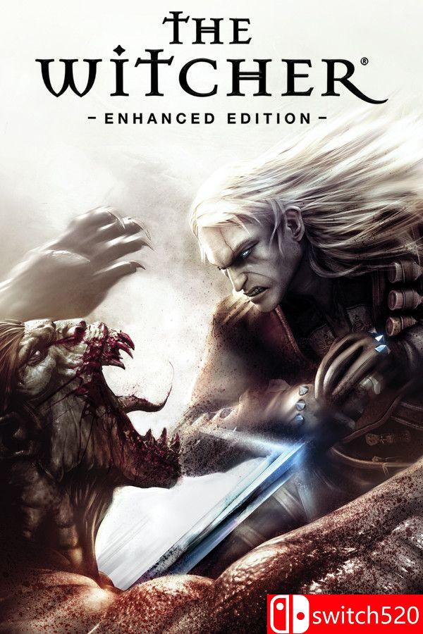 《巫师加强版（The Witcher: Enhanced Edition）》官方中文 v1.5 [繁体/英文]-禾谷轻创网