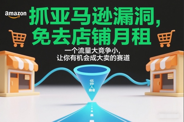 抓亚马逊漏洞，免去店铺月租，一个流量大竞争小，让你有机会成大卖的赛道-禾谷轻创网