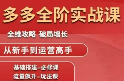 大炮·拼多多全阶实战课程(更新2026)-禾谷轻创网