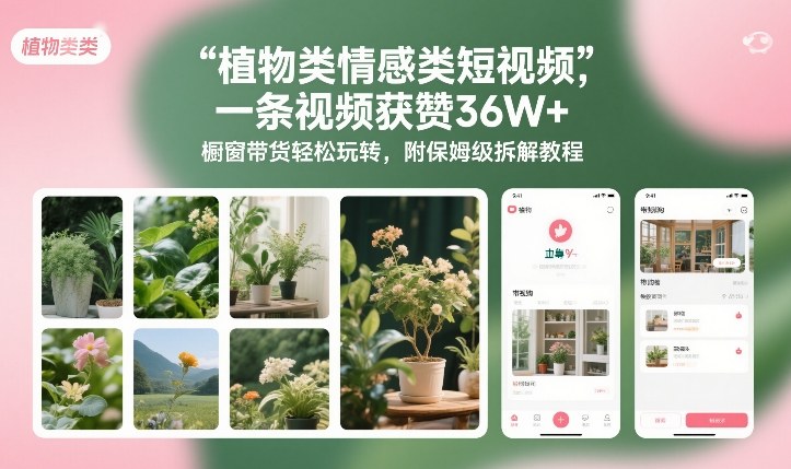 植物类情感类短视频，一条视频获赞36W+，橱窗带货轻松玩转，附保姆级拆解教程-禾谷轻创网