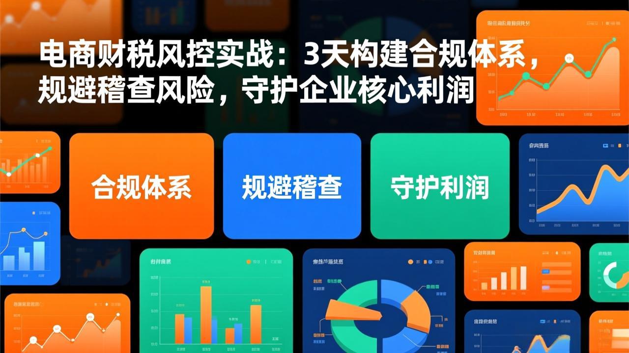 电商财税风控实战：3天构建合规体系，规避稽查风险，守护企业核心利润-禾谷轻创网
