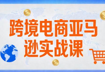 丝丝老师·跨境电商亚马逊实战课(更新2月)-禾谷轻创网