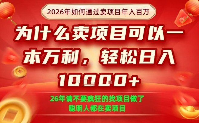 一单净利润1K+，26年想年入100个W，死磕卖项目就够了【揭秘】-禾谷轻创网
