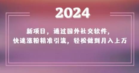 2024新项目，通过国外社交软件，快速涨粉精准引流，轻松做到月入上万【揭秘】-禾谷轻创网