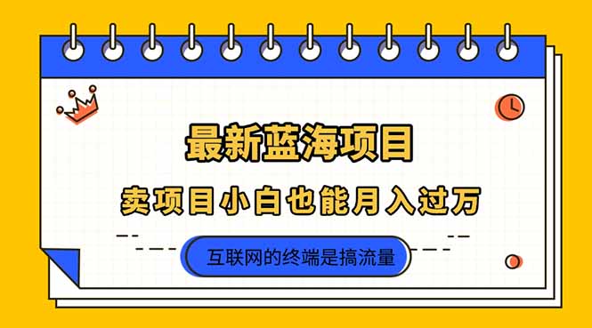 2025年最新蓝海项目，卖项目小白也能月入过万-禾谷轻创网