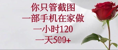 你只管截图，一部手机在家操作，一小时120.一天5张【揭秘】-禾谷轻创网