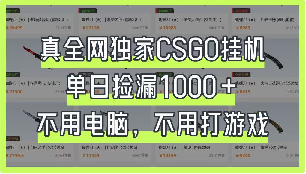 真全网独家CSGO挂机，单日捡漏1000+，不用电脑，不用养号-禾谷轻创网