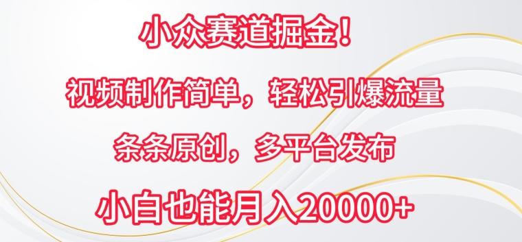 小众赛道掘金，视频制作简单，轻松引爆流量，条条原创，多平台发布【揭秘】-禾谷轻创网