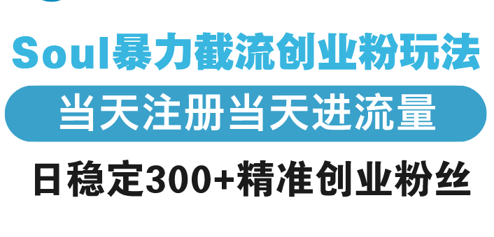 Soul暴力截流创业粉玩法，当天注册当天进流量，日稳定300+精准创业粉丝-禾谷轻创网