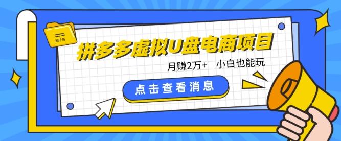 拼多多虚拟U盘电商红利项目：月赚2万+，新手小白也能玩-禾谷轻创网