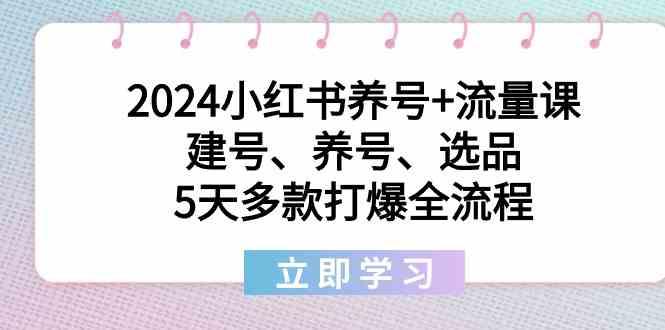 2024小红书养号+流量课：建号、养号、选品，5天多款打爆全流程-禾谷轻创网