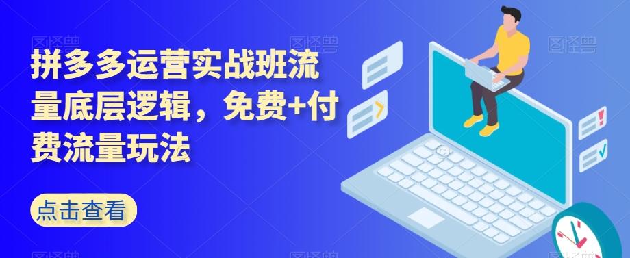 拼多多运营实战班流量底层逻辑，免费+付费流量玩法-禾谷轻创网