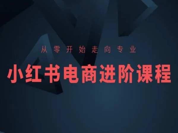 从零开始走向专业，小红书电商进阶课程-禾谷轻创网