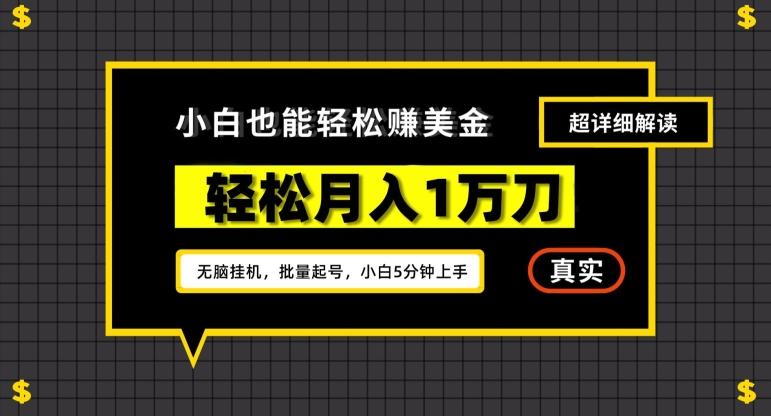 谷歌看广告撸美金2.0，无脑挂机，多号操作，月入1万刀【揭秘】-禾谷轻创网
