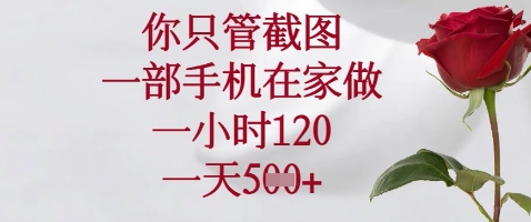 你只管截图，一部手机在家做，苹果安卓都可以，一小时120，一天5张+【揭秘】-禾谷轻创网
