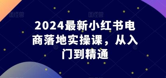 2024最新小红书电商落地实操课，从入门到精通-禾谷轻创网