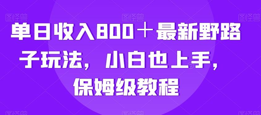单日收入800＋最新野路子玩法，小白也上手，保姆级教程-禾谷轻创网