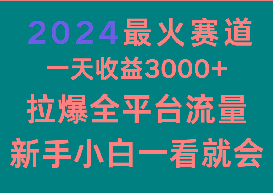 2024最火赛道，一天收一3000+.拉爆全平台流量，新手小白一看就会-禾谷轻创网