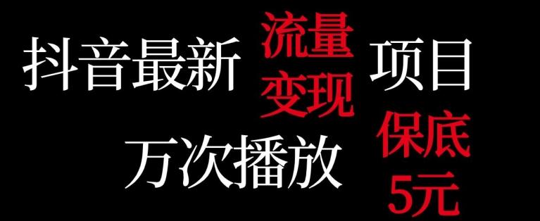 抖音流量变现，万次播放保底5元，额外收入-禾谷轻创网