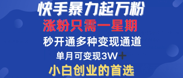 快手暴力起万粉，涨粉只需一星期，多种变现模式，直接秒开万合，单月变现过W【揭秘】-禾谷轻创网