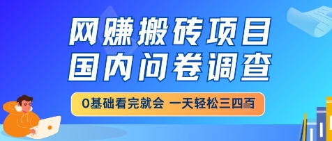 网创搬砖项目，国内问卷调查，小白轻松上手，一天三四张的也不难，干就完了【揭秘】-禾谷轻创网