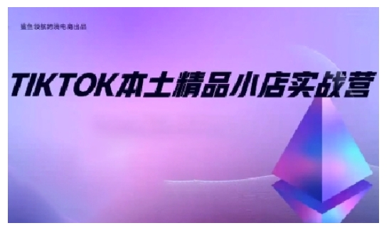 TikTok本土精品小店出海实战营，从入门到高阶，不止0-1!-禾谷轻创网
