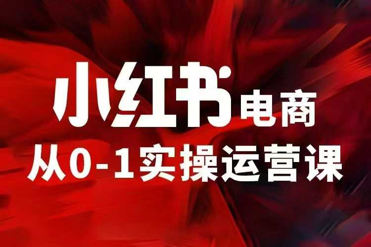 小红书电商运营，97节小红书vip内部课，带你实现小红书赚钱-禾谷轻创网