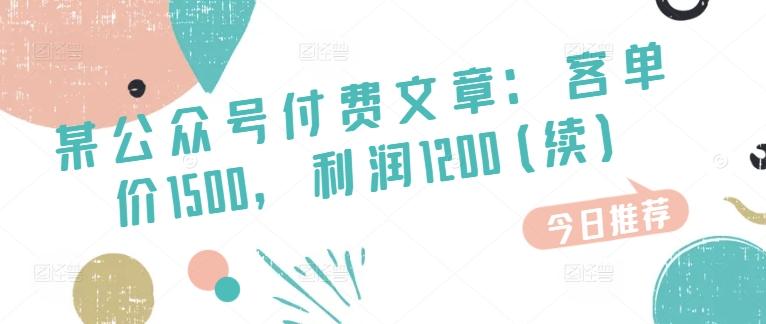 某公众号付费文章：客单价1500，利润1200(续)，市场几乎可以说是空白的-禾谷轻创网