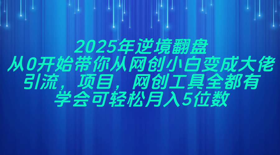 2025年逆境翻盘，从0开始带你从网创小白变成大佬，引流，项目，网创工...-禾谷轻创网