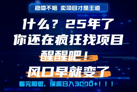 什么？25年你还在疯狂找项目做，醒醒吧，看完这些你全都懂了！【揭秘】-禾谷轻创网