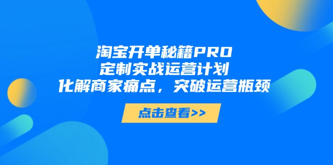 淘宝开单秘籍PRO，定制实战运营计划，化解商家痛点，突破运营瓶颈-禾谷轻创网