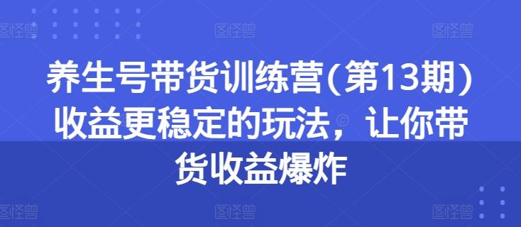 养生号带货训练营(第13期)收益更稳定的玩法，让你带货收益爆炸-禾谷轻创网