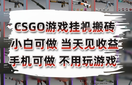 CSGO游戏挂G搬砖，小白纯手机即可操作，不用电脑打游戏，日入3张+，副业网创项目【揭秘】-禾谷轻创网