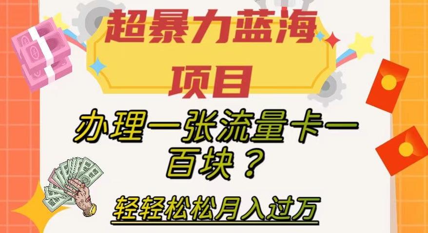 超暴力蓝海项目，办理一张流量卡一百块？轻轻松松月入过万，保姆级教程【揭秘】-禾谷轻创网