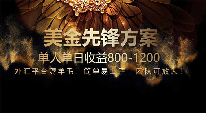 免费技术！小众赛道！一年布局抵三年努力，每日800+-禾谷轻创网