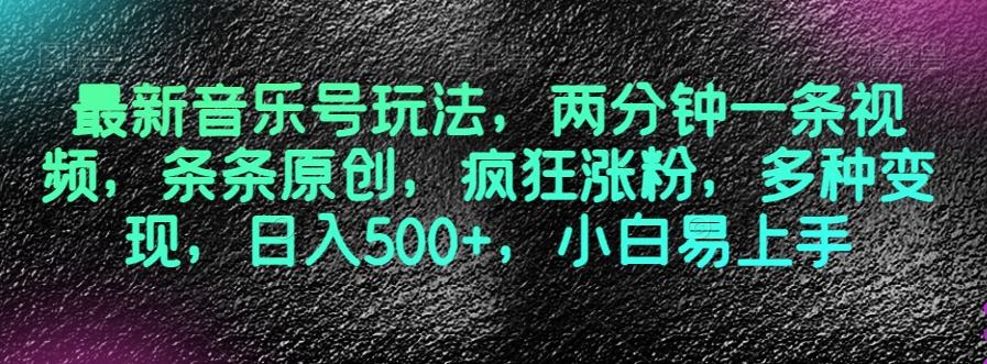 最新音乐号玩法，两分钟一条视频，条条原创，疯狂涨粉，多种变现，日入500+，小白易上手【揭秘】-禾谷轻创网