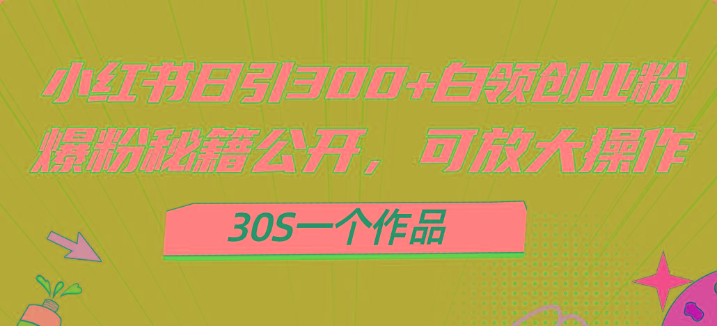 小红书日引300+高质白领创业粉，可放大操作，爆粉秘籍！30s一个作品-禾谷轻创网