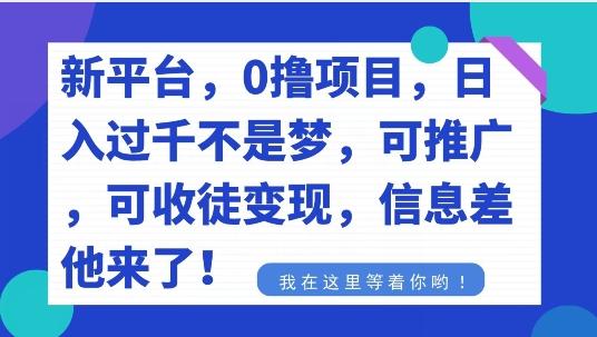 不要再花冤枉钱了，0撸项目，每天坚持，稳定1000+-禾谷轻创网