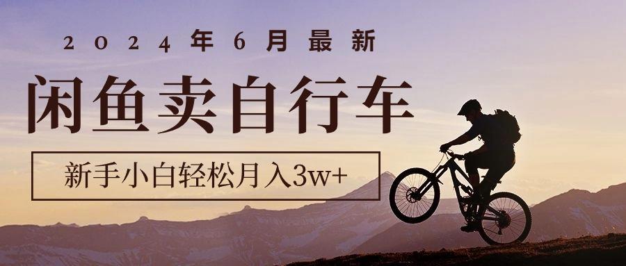 2024年6月最新闲鱼卖自行车，新手小白轻松月入3w+项目-禾谷轻创网