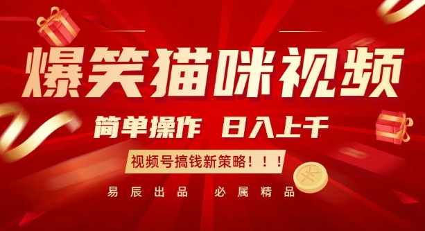 爆笑猫咪视频：简单操作，日入过K，视频号搞钱新策略【揭秘】-禾谷轻创网