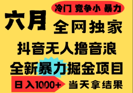 25年6月高爆抖音无人直播最新撸音浪掘金项目，小白可做，无脑日入1k+，门槛低可批量矩阵【揭秘】-禾谷轻创网