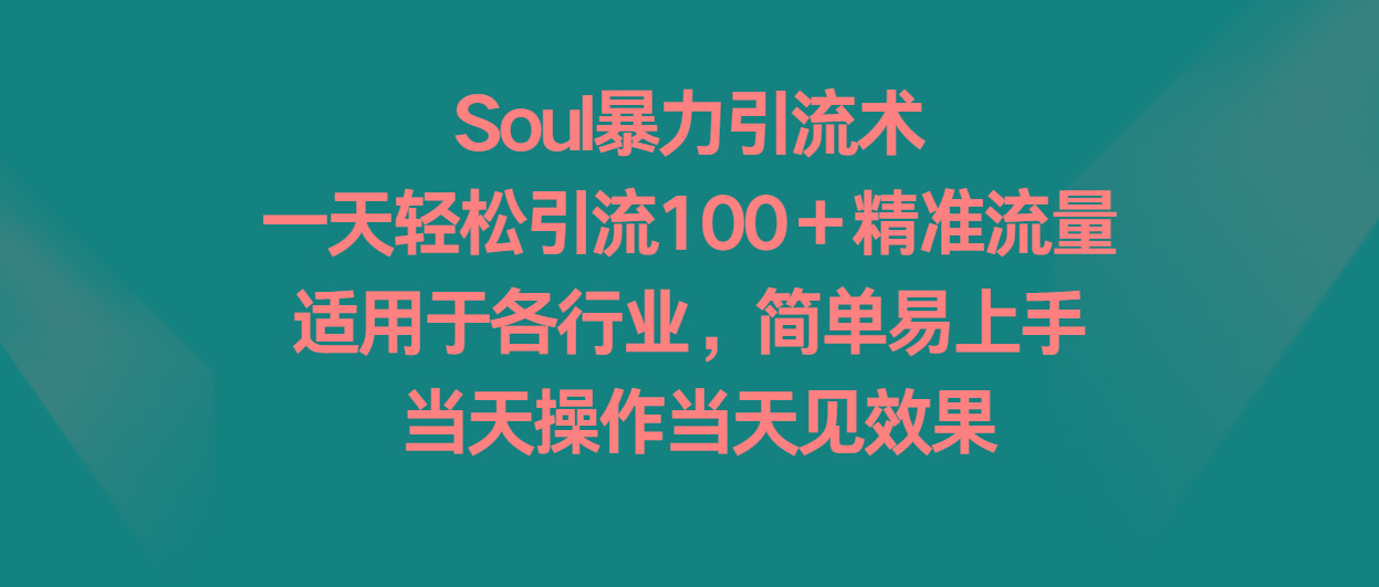Soul暴力引流术，一天轻松引流100＋精准流量，适用于各行业，简单易上手！-禾谷轻创网