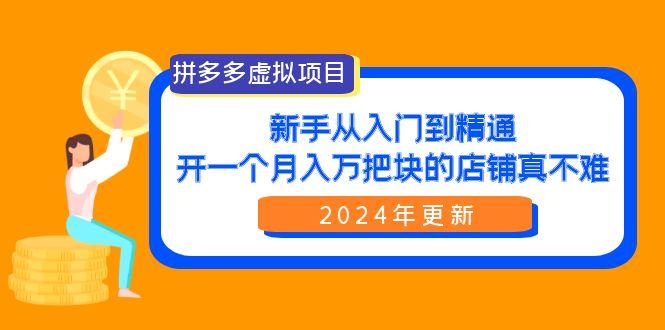 (9744期)拼多多虚拟项目：入门到精通，开一个月入万把块的店铺 真不难(24年更新)-禾谷轻创网