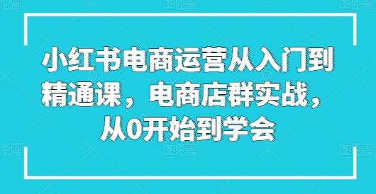 小红书电商运营从入门到精通课，电商店群实战，从0开始到学会-禾谷轻创网