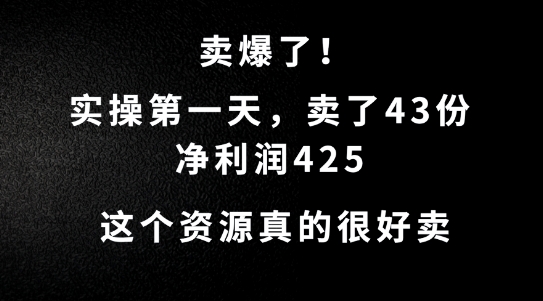 这个资源，需求很大，实操第一天卖了43份，净利润425【揭秘】-禾谷轻创网