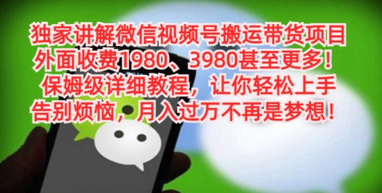 独家讲解微信视频号搬运带货项目，保姆级详细教程-禾谷轻创网