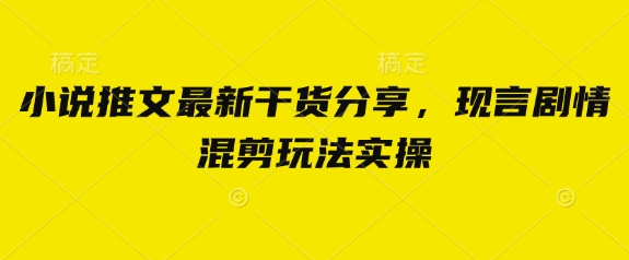 小说推文最新干货分享，现言剧情混剪玩法实操-禾谷轻创网