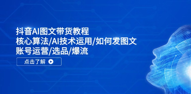 抖音AI图文带货教程：核心算法/AI技术运用/如何发图文/账号运营/选品/爆流-禾谷轻创网