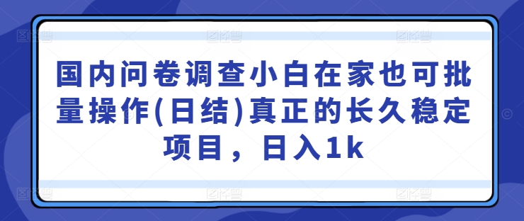 国内问卷调查小白在家也可批量操作(日结)真正的长久稳定项目，日入1k【揭秘】-禾谷轻创网